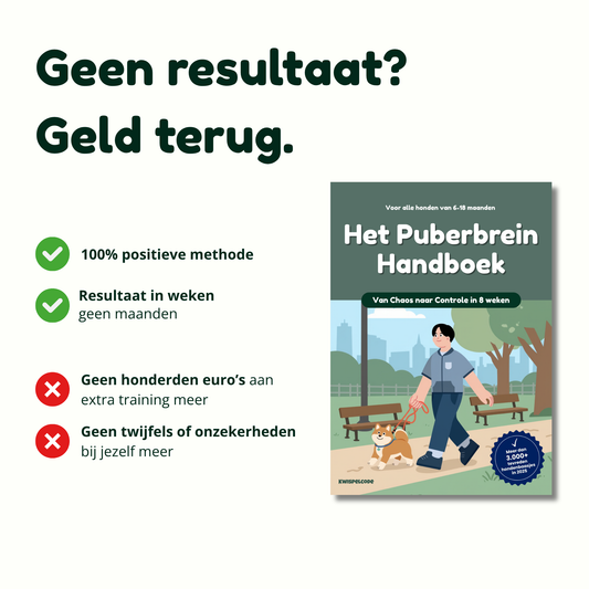 Het Puberbrein Handboek: De snelste manier van chaos naar controle.