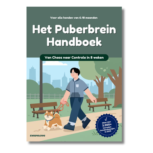 Het Puberbrein Handboek: De snelste manier van chaos naar controle.