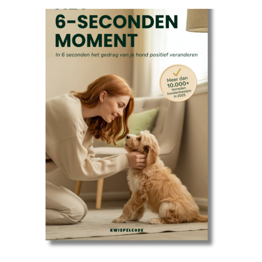 Het 6-Seconden Moment