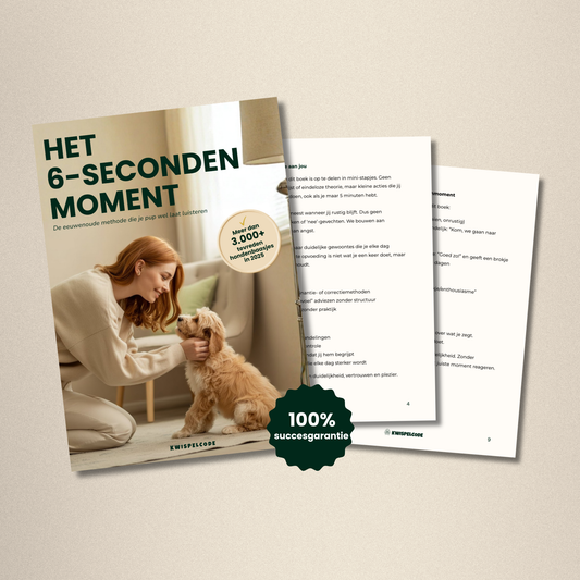 Het 6-Seconden Moment